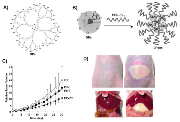 Fig. 8