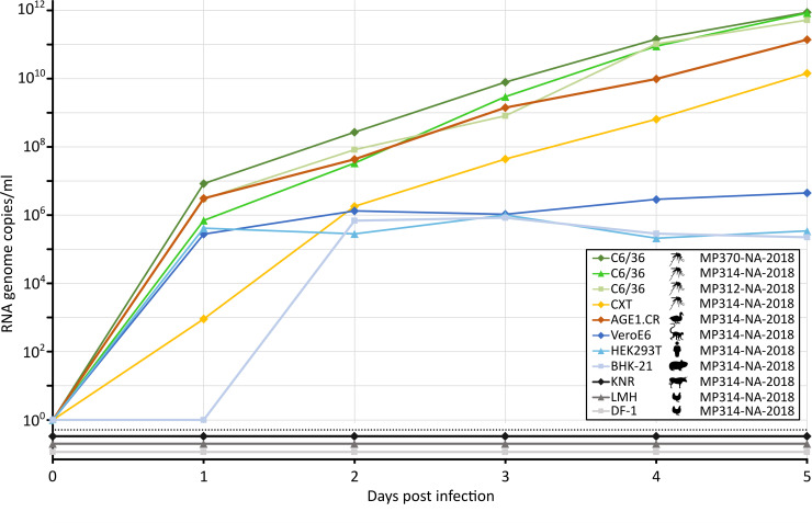 Fig 6