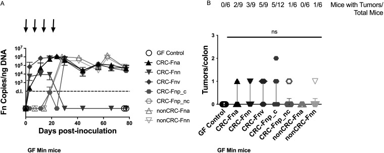 FIG 3