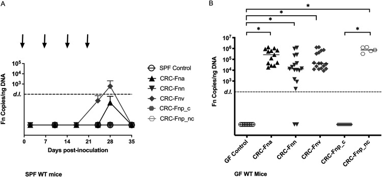 FIG 1