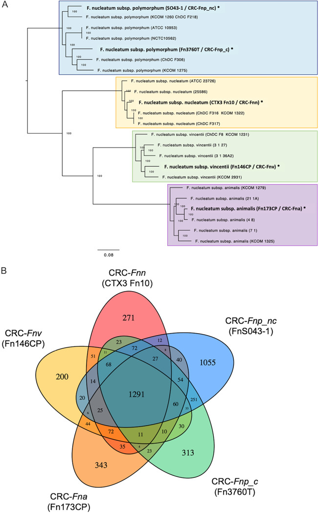 FIG 6