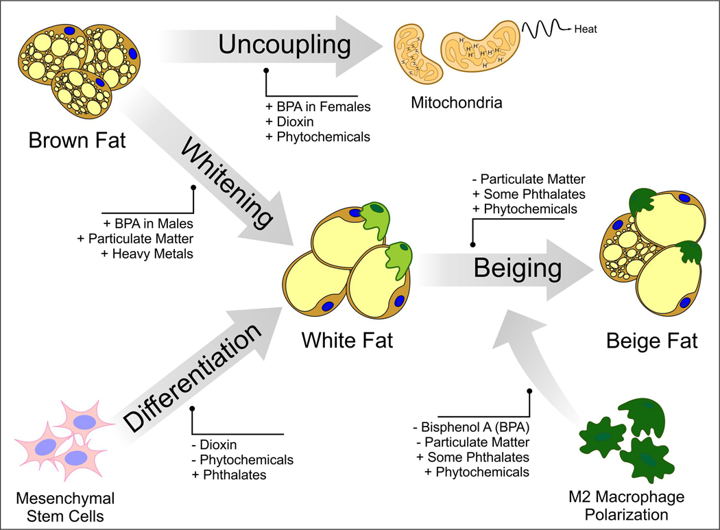 Figure 2: