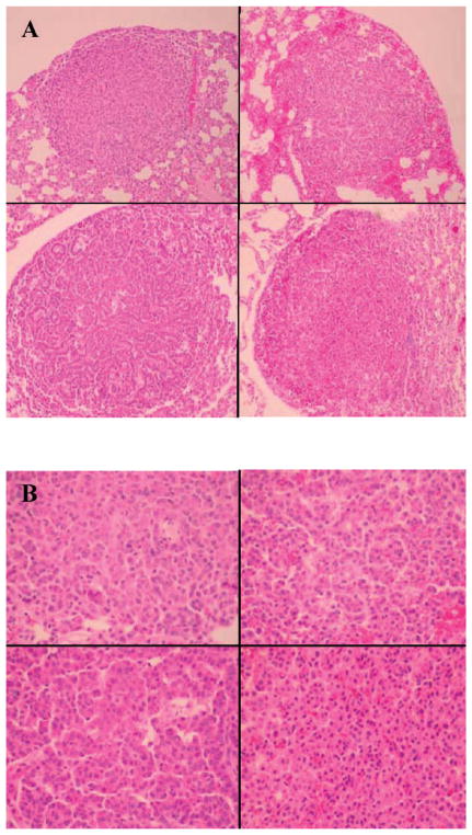 FIG. 6