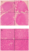 FIG. 6