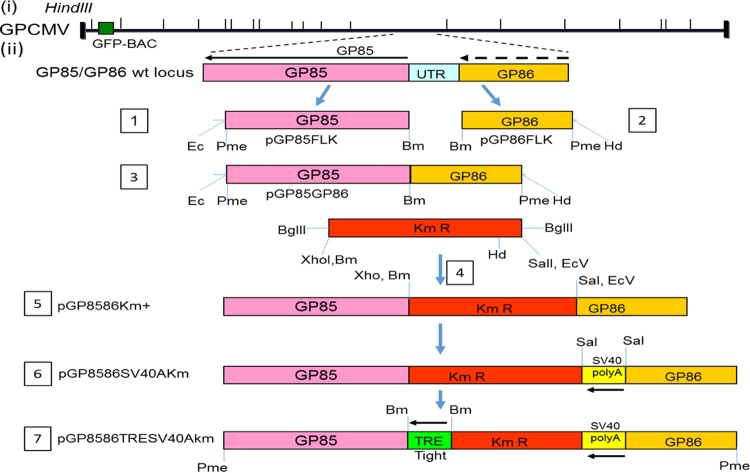 FIG 2