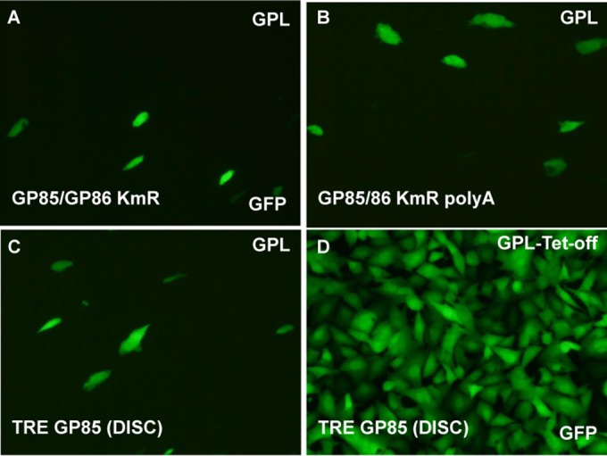 FIG 6