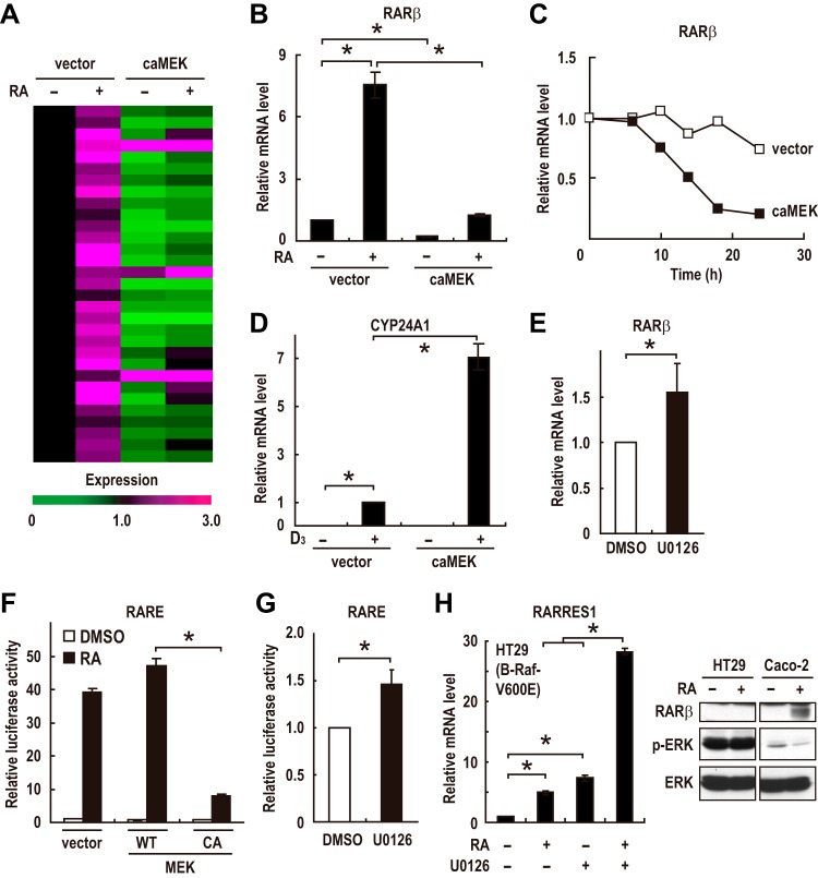 FIG 6