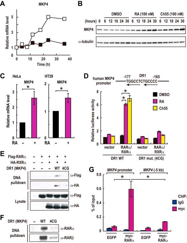 FIG 3