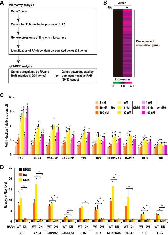 FIG 2