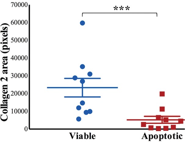 Figure 4h: