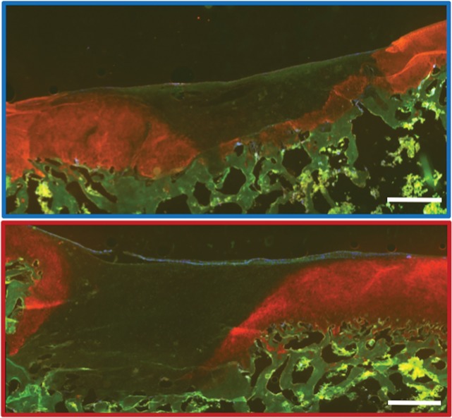 Figure 4f: