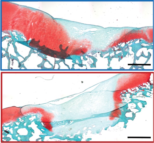 Figure 4c: