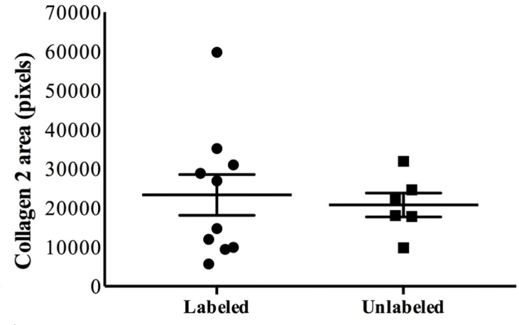 Figure 3h: