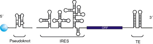 Fig. 10