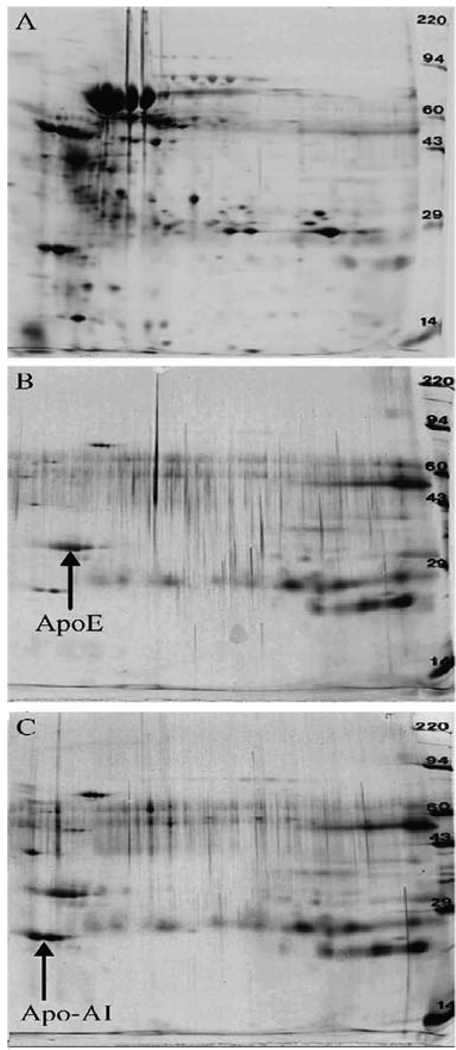 Fig. 8.6