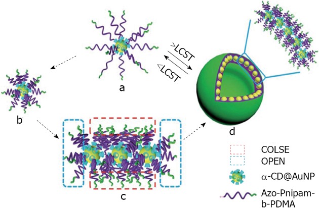 Figure 17