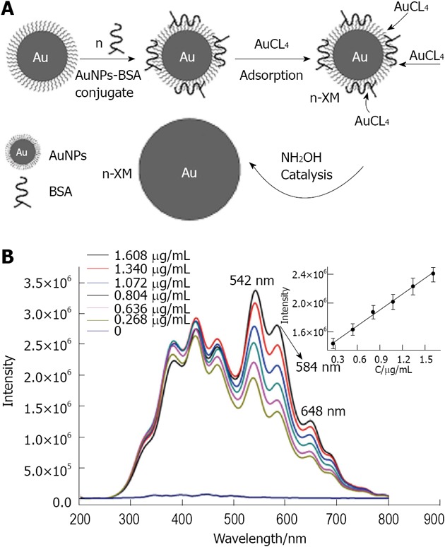 Figure 33