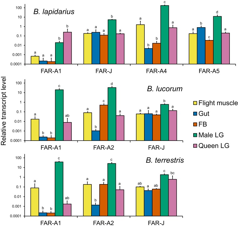 Figure 4—figure supplement 1.