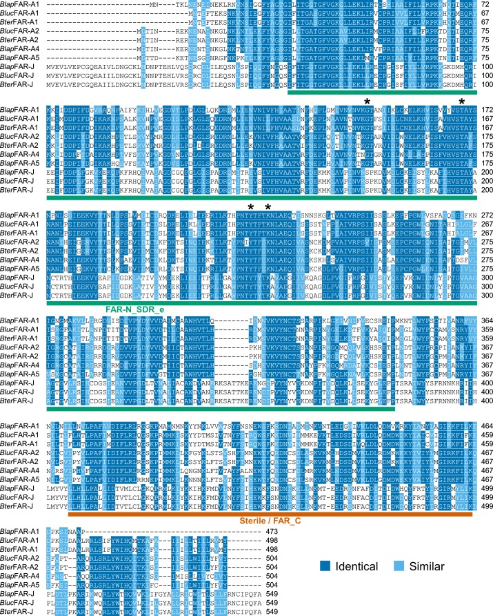 Figure 1—figure supplement 5.