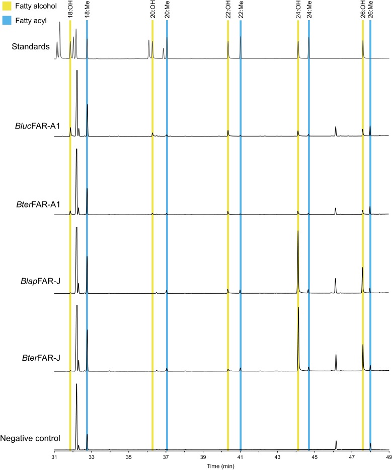 Figure 6—figure supplement 3.