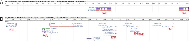 Figure 1—figure supplement 3.