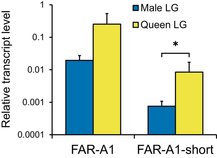 Figure 4—figure supplement 2.