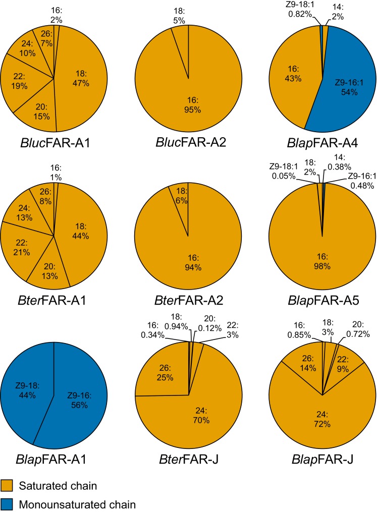 Figure 6—figure supplement 7.