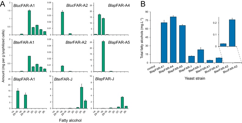 Figure 6—figure supplement 8.