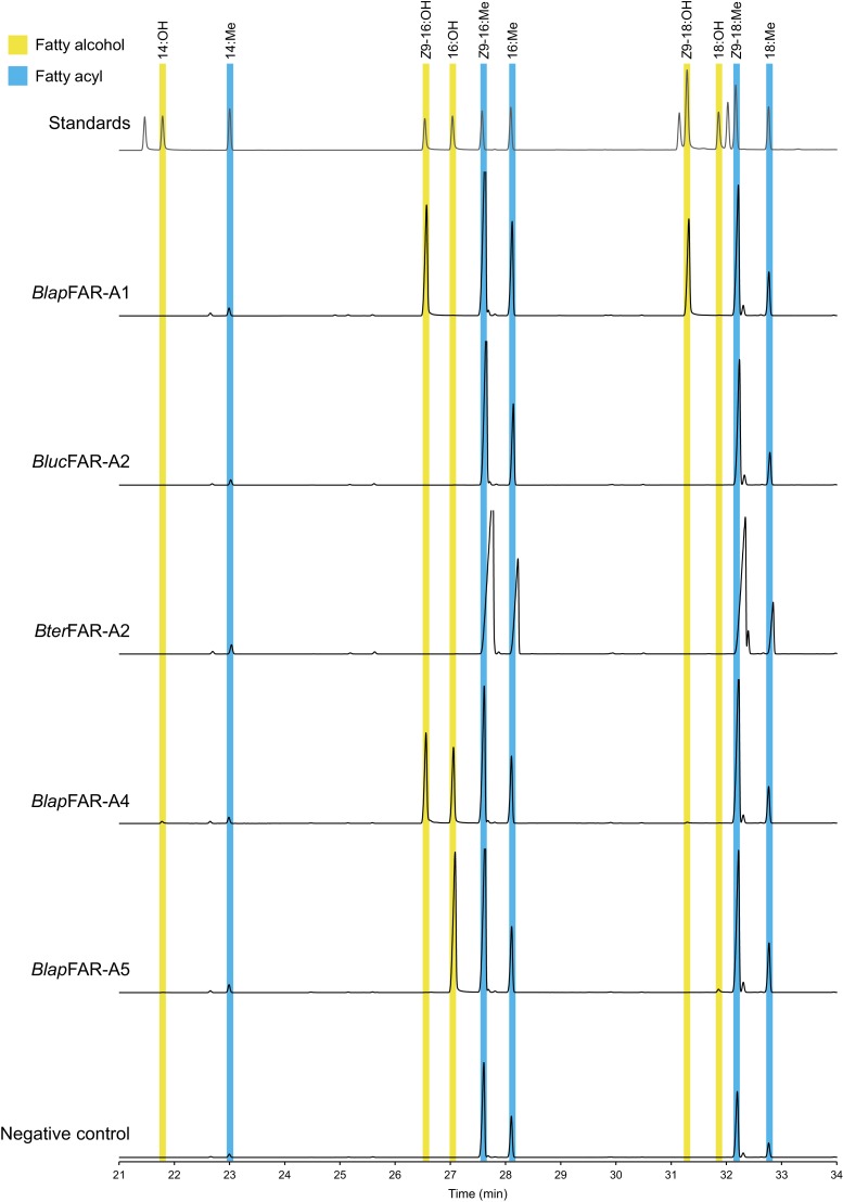 Figure 6—figure supplement 2.