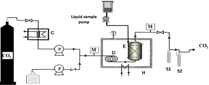 Figure 1