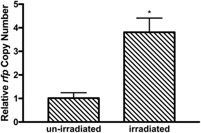 Fig. 5.