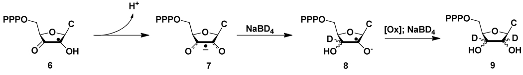 SCHEME 2