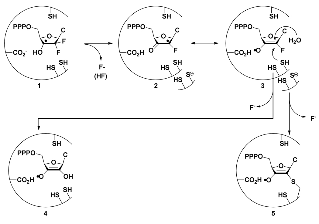 SCHEME 1