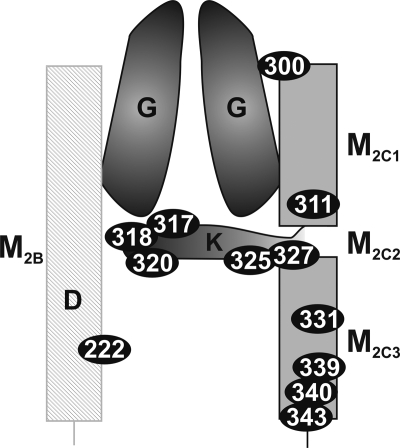 FIGURE 1.