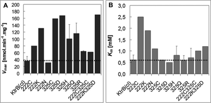 FIGURE 10.