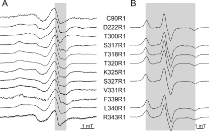 FIGURE 4.