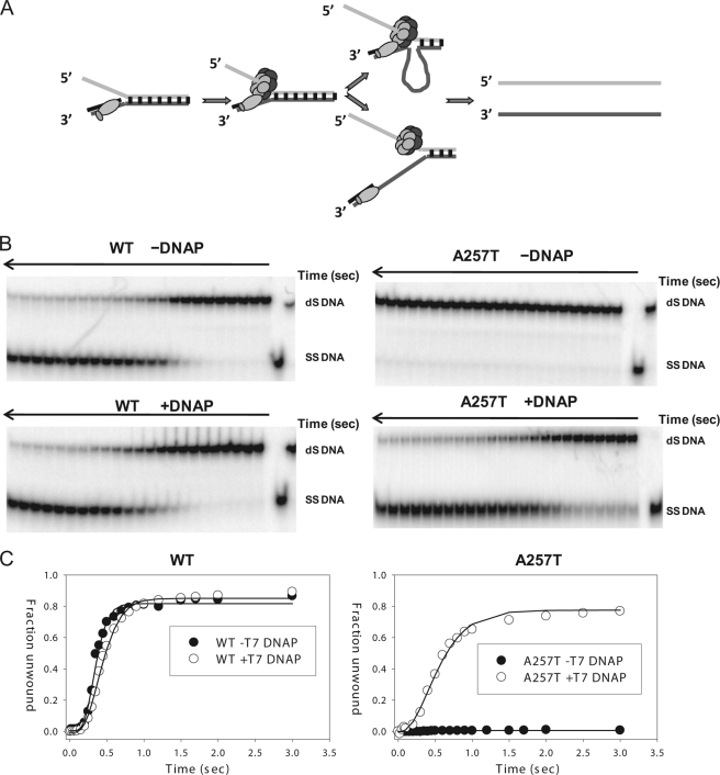 FIGURE 6.