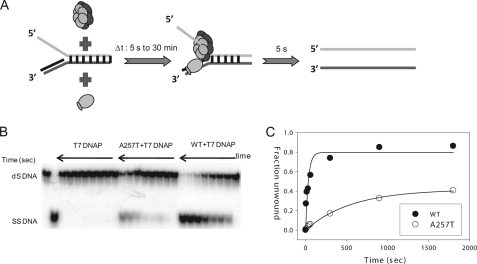 FIGURE 7.