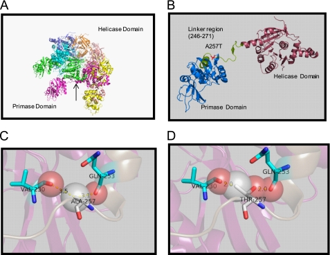 FIGURE 1.