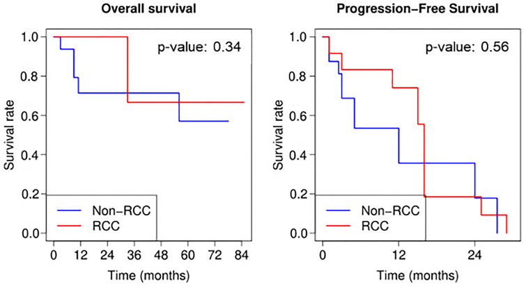 Graphs of Kaplan-Meier curves for overall survival and progression-free survival for all study patients, patients with renal cell carcinoma (RCC), and patients without RCC. Treatment day = day 0. P values are based on the log-rank test; non-RCC appears to have lower overall and progression-free survival rates early on, but the differences with RCC are not significant.