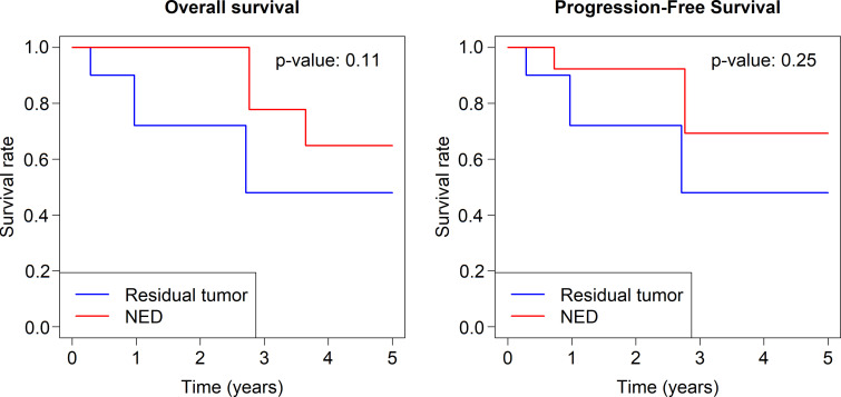 Graphs of Kaplan-Meier curves for overall and progression-free survival by no evidence of disease (NED) and residual tumor.