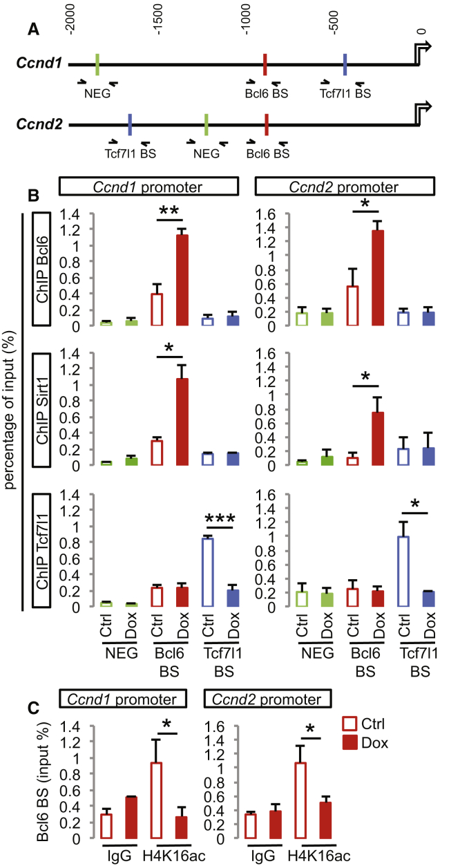 Figure 6