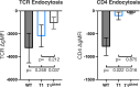 Figure 2—figure supplement 2.