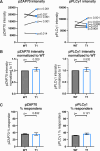 Figure 2—figure supplement 4.