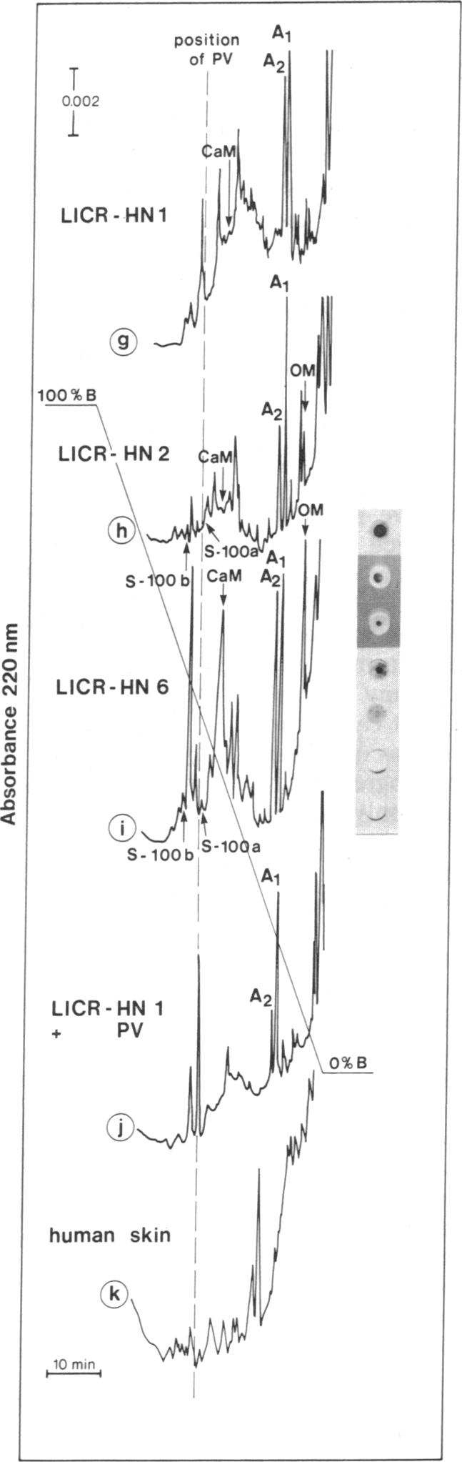 graphic file with name pnas00622-0077-a.jpg