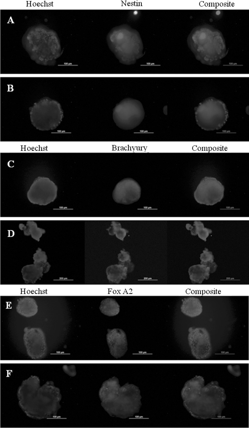 Fig. 10