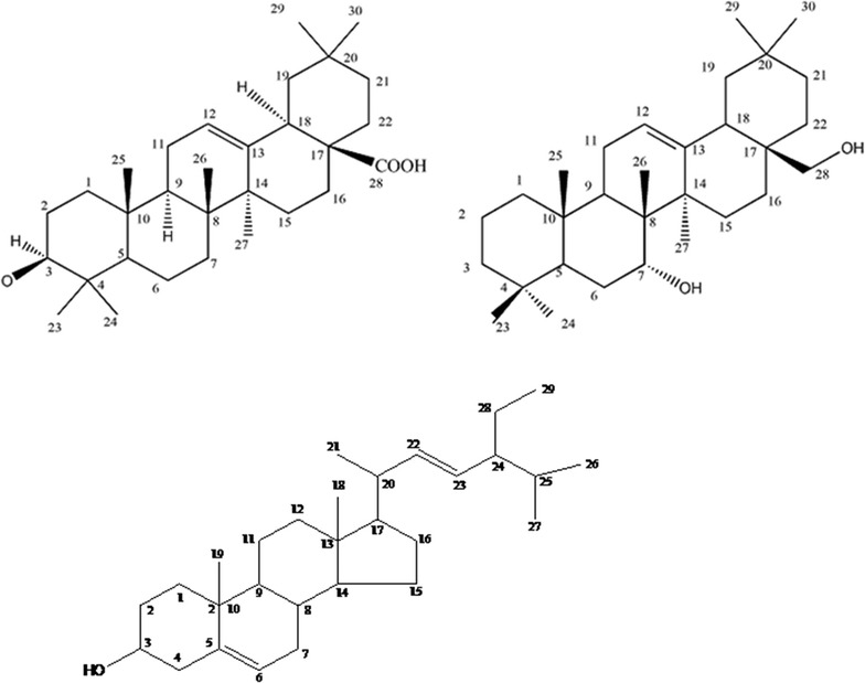 Fig. 1