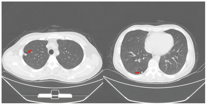 Figure 1.