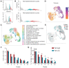 Figure 3. The binding strength of individual CD8 TILs is distinguished by barcoded MHC-tetramers and scRNA-seq. A, Purity checks were performed directly after FACS on CD8+ TILs into Tet-High (red), Tet-Low (blue) and Tet-negative (grey) populations to confirm separation of different tetramer binding populations for two experiments. B, Histograms showing normalized tetramer-barcode counts of the same tetramer-sorted CD8+ TIL groups as measured by CITE-seq for two experiments. C, scRNA-seq data from both experiments were used to generate a UMAP of 15 transcriptionally unique clusters of CD8+ TILs (clusters 14 was excluded from all visualization due to low cell numbers). The list on the right shows the immunophenotype of each cluster. Tetramer binding was determined by either (D) tetramer barcode counts or by (E) the flow-sorted Tet-High, Tet-Low, and Tet-Neg samples and were visualized on a UMAP. F, Tet-High and Tet-Low cell counts within each tetramer positive cluster are shown. G, Percentage of total Tet-High or total Tet-Low cells distributed within each tetramer positive cluster is shown. A two-proportion z-test with FDR correction was used to test differences in cluster contribution from Tet-High and Tet-Low cells within each cluster and determine statistical significance (*, q-value ≤ 0.05). For scRNA-seq, 2 independent experiments were performed on CT26 TILs isolated 14 days post tumor challenge pooled from 15 mice.