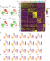 Figure 4. Differential gene expression of scRNA-seq clusters defines unique gene signatures. A–D, Blended UMAPs displaying the dual expression of the indicated genes or proteins in red or green if singly expressed or in yellow if co-expressed. A, Cell surface expression of CD44 and CD62 L proteins determined by ADT, and the corresponding genes (B) Cd44 and Sell (encodes CD62L) via scRNA-seq. Blended UMAPs are shown for (C) Tox and Tcf7 and (D) Mki67 and Btg2. E, Heat map showing the 10 most positively expressed genes from each cluster based on the fold change within a single cluster relative to all other clusters. F–H, Selected gene expression patterns visualized on the UMAP for (F) transcription factors, (G) functional markers, and (H) exhaustion markers. For scRNA-seq, 2 independent experiments were performed on CT26 TILs isolated 14 days post tumor challenge pooled from 15 mice.